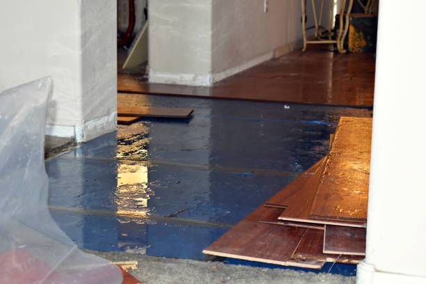 Professional Water Damage Restoration technician working in South Roxana, IL